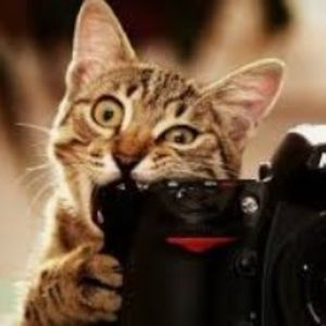 Meet your Posher, Briella